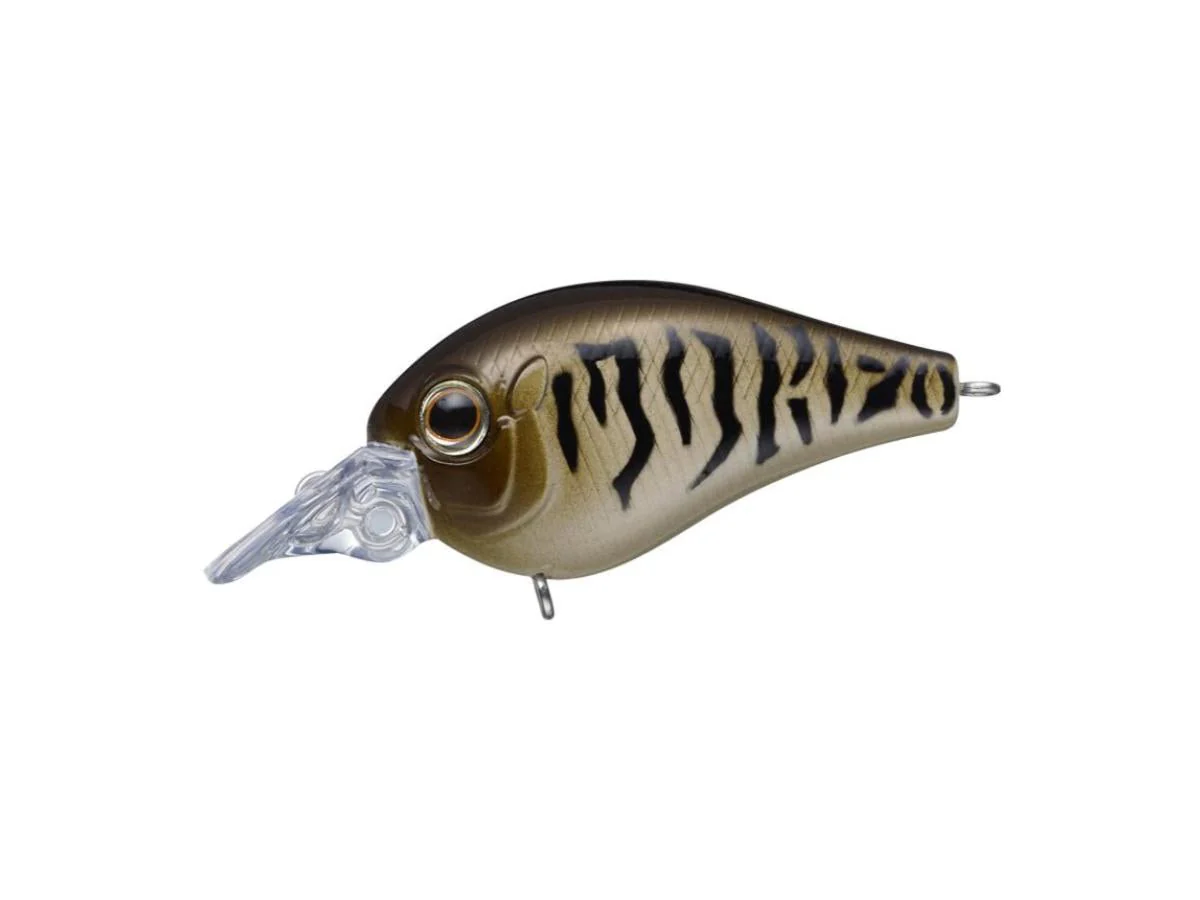 Evergreen Piccolo Dive Shallow - Image 12