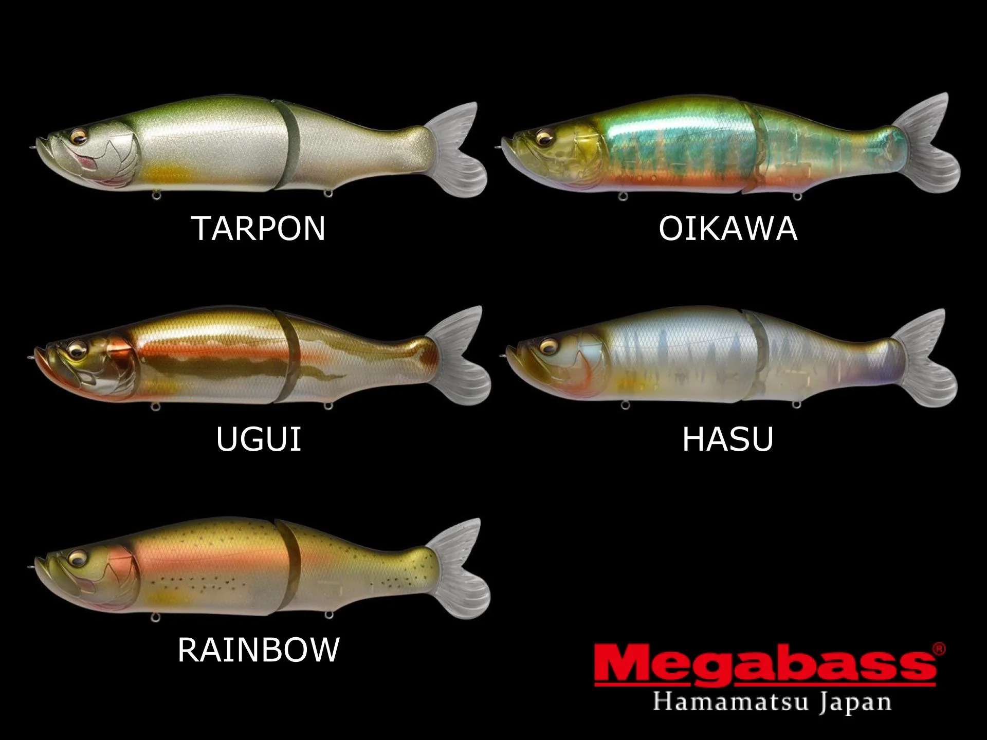 I-SLIDE 262T - Image 2
